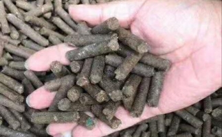 水果渣越來越受歡迎，因為它的出現—生物質顆粒機設備